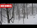 Enthüllung: Das Rentier und die Nase