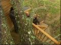 cabanes dans les arbres alain laurens 1