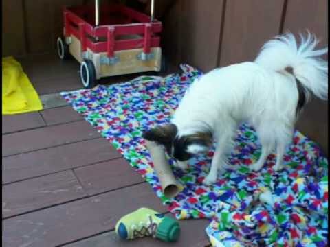 28TUBE -