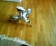 ROBOQUAD 7