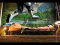 Varial Kickflip in living room / w domowym zaciszu