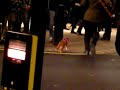 Crazy Busker on shafsbury avenue on boxing day with a new way to get cash from strangers Crazy Busker on shafsbury avenue on boxing day with a new way to get cash from strangers