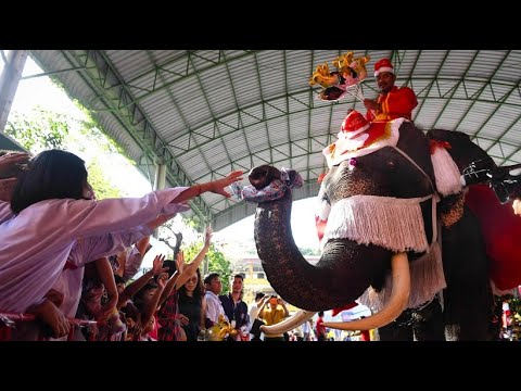 Thailand: Elefant statt Rentier - Luftballons, Sigkei ...