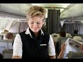 lufthansa cabin crew

sorry about the music, i just couldnt find the right type :(
