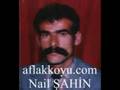 nail �ahin