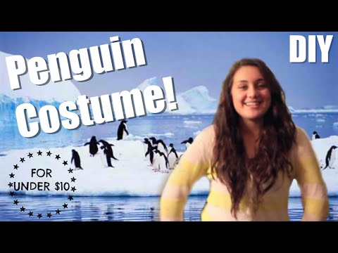 How To Make A Penguin Costume