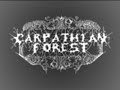 journey through the cold moors of svarttjern