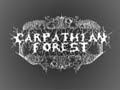 journey through the cold moors of svarttjern