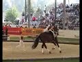 Gymnastics on Vaulting Horse