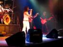 Moff en Vivo (En tu mostrador o 
