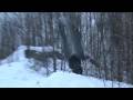 Sledding Sledding