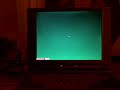 Old 1996 Toshiba Satellite 420CDT pro w/ WIndows 98