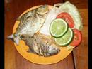 Joe Trohman Loves Les Poissons