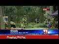 GATORLAND Fire