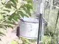 Pototo Cannon Footage