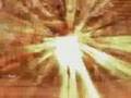 Portland Trail Blazers 2007 - 2008 Highlights