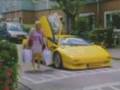 lambo speed bump