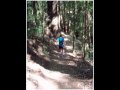 Forest of Nisene Marks
