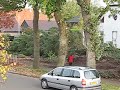 Boom neergehaald voor voormalig melkfabriek in Hellum Boom neergehaald voor voormalig melkfabriek in Hellum