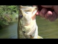 Click here to watch this video PWF Cleburne Six-O Ranch