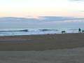 videos de Zuma Beach 11/27/08 - 645am