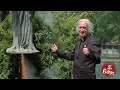 Virgin Mary Space Launch
