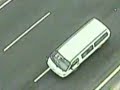 Dog helps other dog in highway