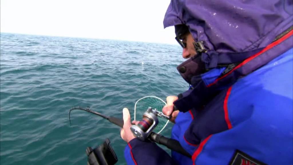 Daiwa 2015 Brighton Pollack comp on Brighton diver