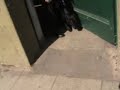 Amenaza de Bomba Filosofia y Letras UBA Todo bien por hugo omar viggiano.mpg