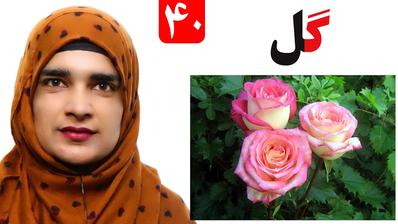 Lesson 40 _ Grade 1 _ Pashto book / لوست ۴۰_ د پښتو کتاب _ لومړی ټولګی