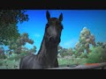 Horse life 2  pc