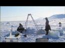 Claudia Halsband-Lenk