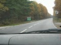 Po co zwalniać w lesie?