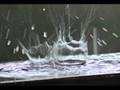 The Sun and the Rainfall(cover)