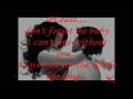 Prithibir joto Shukh ~***~ (Habib Wahid Feat Nancy) wid love poem