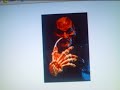 tribute to frddy krueger - Thumb #3