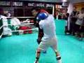 Satoshi Kobayashi light sparr in HK