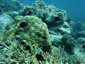 Cambodia Video