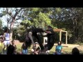 YouTube - Broadcast Yourself