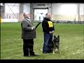 2007 AKC Working Dog Sport Championship 2007 AKC Working Dog Sport Championship