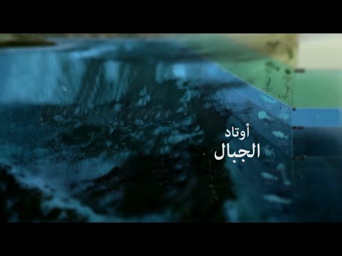عقيد بريطاني أسلمته مظاهرة! | ثلاث آيات غيرت حياتي | 4 عقيد بريطاني أسلمته مظاهرة! | ثلاث آيات غيرت حياتي | 4