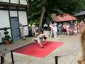 Chinese Acrobatic Show... in Busch Gardens?