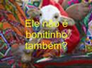 Rock do Bolinho