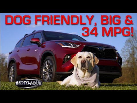 dog friendly big 34 mpg the 2020 toyota highlander hybrid