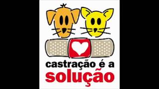 Projeto Castração é a Solução