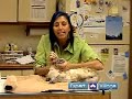 Treat Common Cat Illnesses : Put Eye Ointment on Your Cat