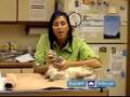 Treat Common Cat Illnesses : Put Eye Ointment on Your Cat