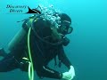 Baracouda lake Dive Coron island philippines http://www.la-video-sous-marine.com/