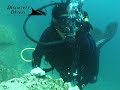 Baracouda lake Dive Coron island philippines http://www.la-video-sous-marine.com/
