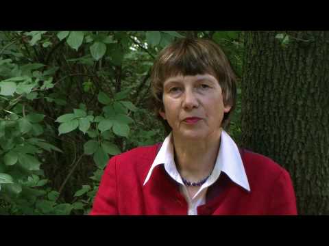Video anschauen